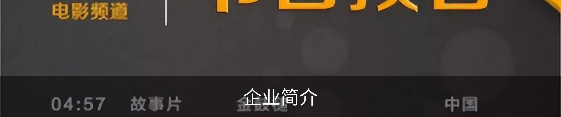 企业简介